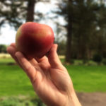 Web apple blur