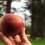 cropped-Web-apple-blur-3.jpg